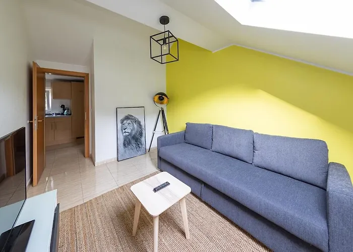 Cosy European Instituts *