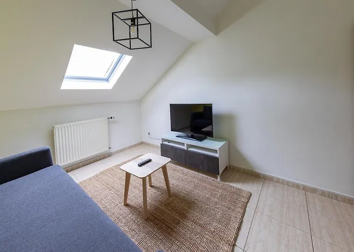 Cosy European Instituts Апартаменты *