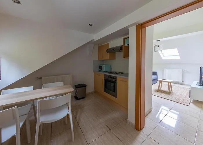 Cosy European Instituts